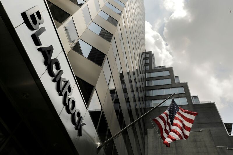 How BlackRock became the world's largest asset manager