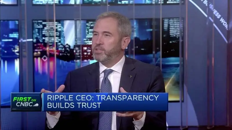 Crypto has never just been sunshine and roses and it's an industry that needs to mature, Ripple CEO says