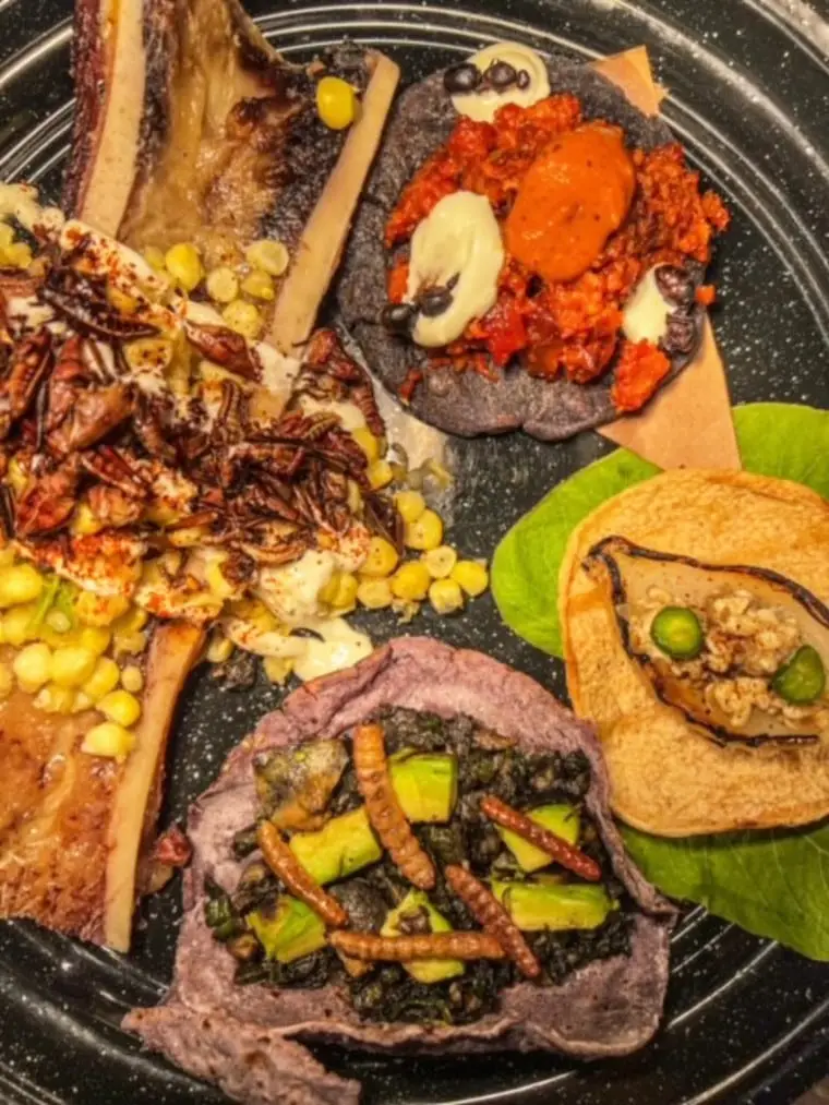 An array of colors — and insects — are part of Avila's Festival de Bichos menu. 