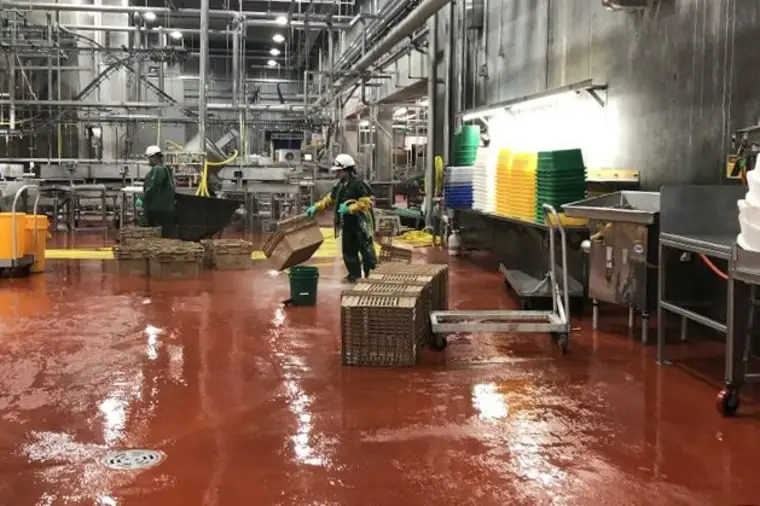 Adult workers inside a slaughterhouse where Department of Labor investigators found children cleaning equipment